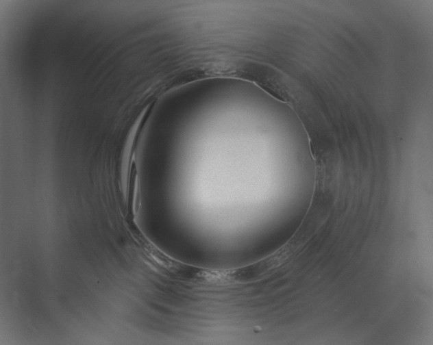 X0000073910093200608251534