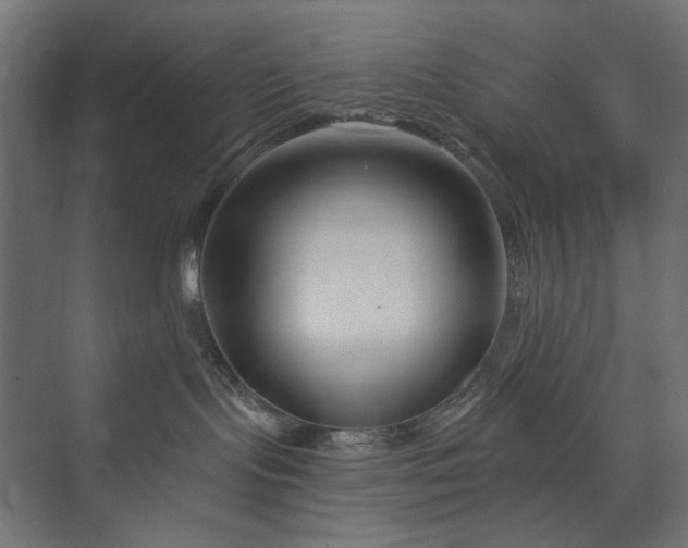 X0000073910095200608251535