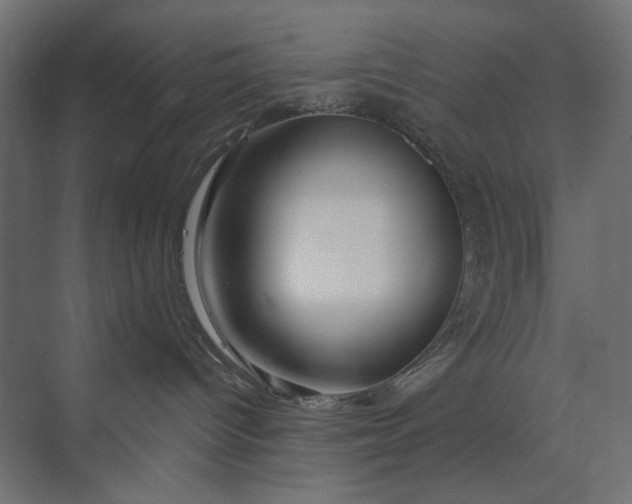 X0000073910096200608251535