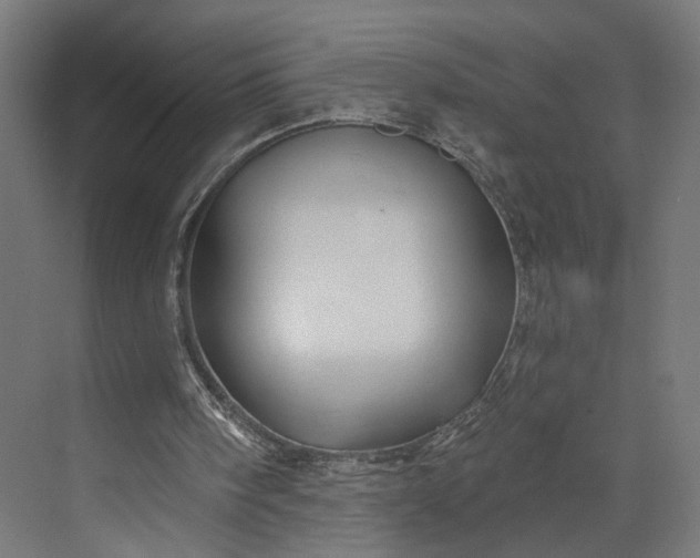 X0000073910098200608251534