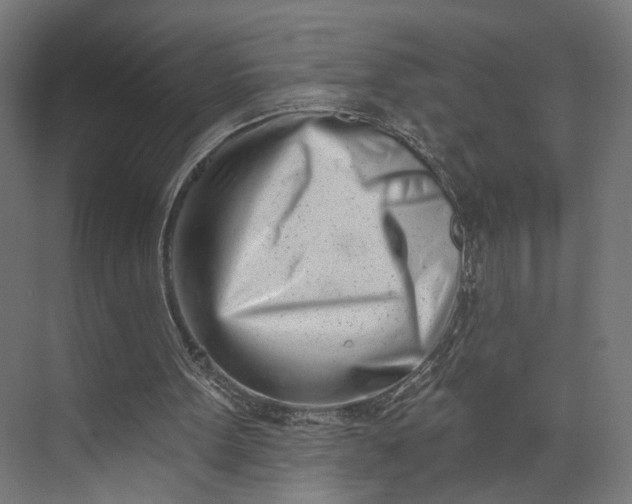 X0000073910099200608251534