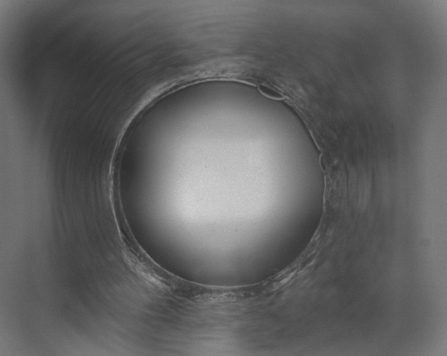 X0000073910100200608251534