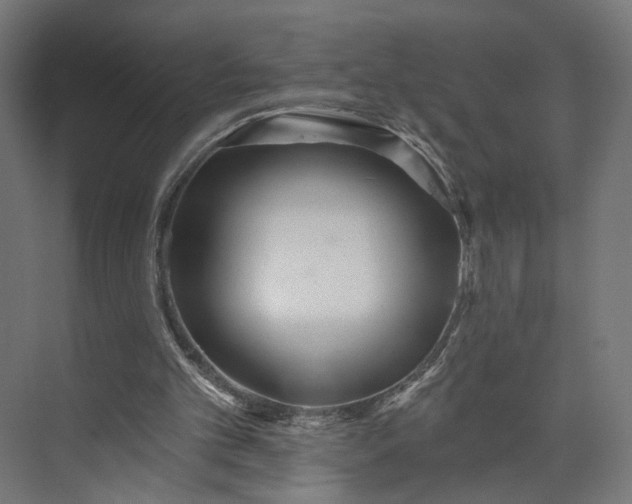 X0000073910101200608251534