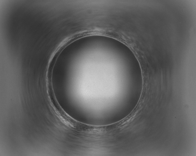 X0000073910102200608251534