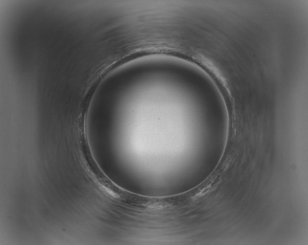 X0000073910105200608251534