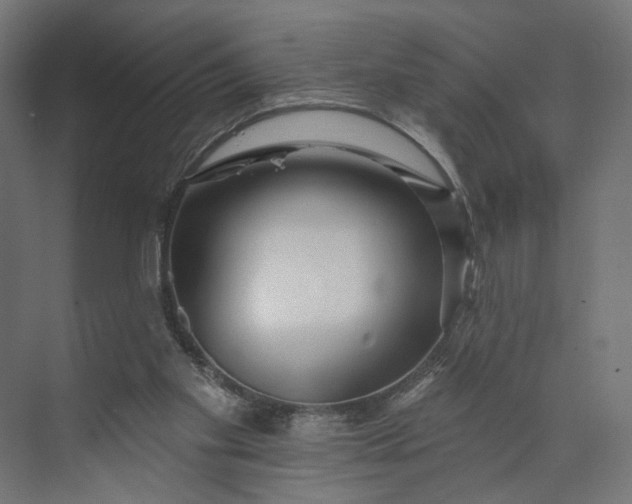 X0000073910109200608251534