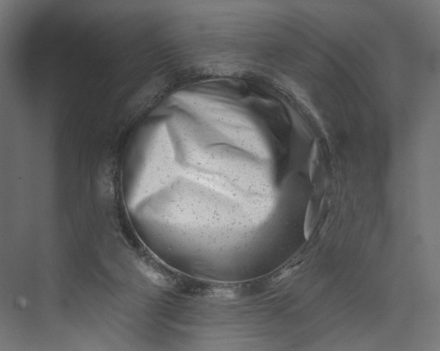 X0000073910114200608251533