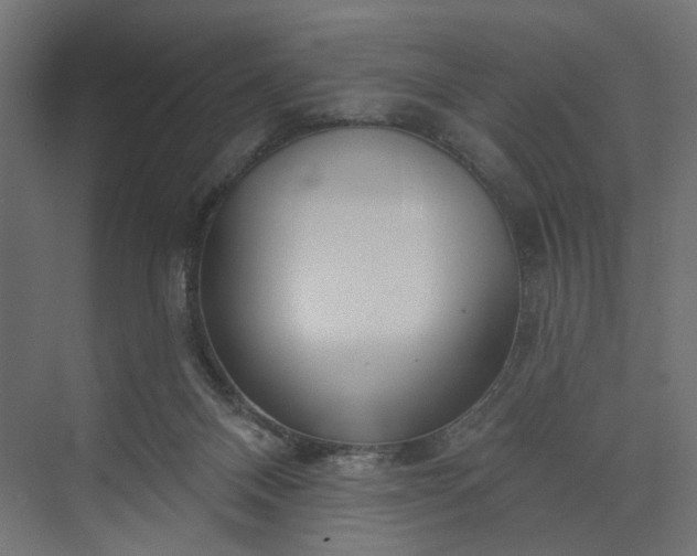 X0000073910120200608251533