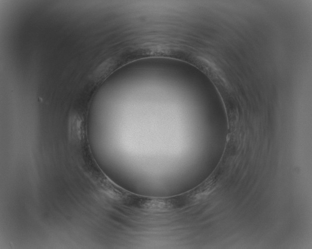 X0000073910123200608251533