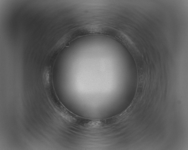 X0000073910124200608251533