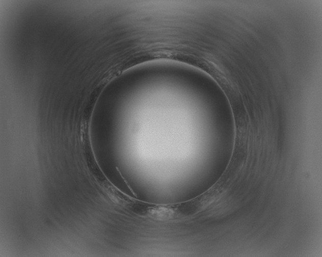 X0000073910125200608251533