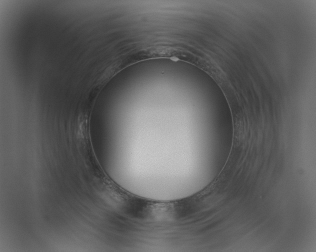 X0000073910126200608251533