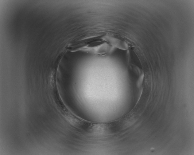 X0000073910127200608251533