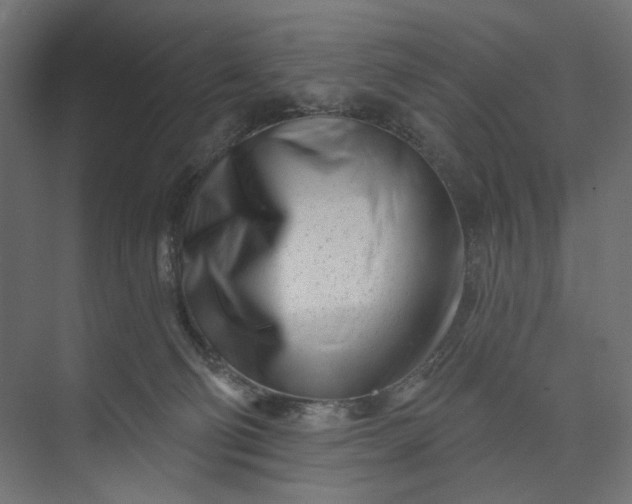 X0000073910130200608251533