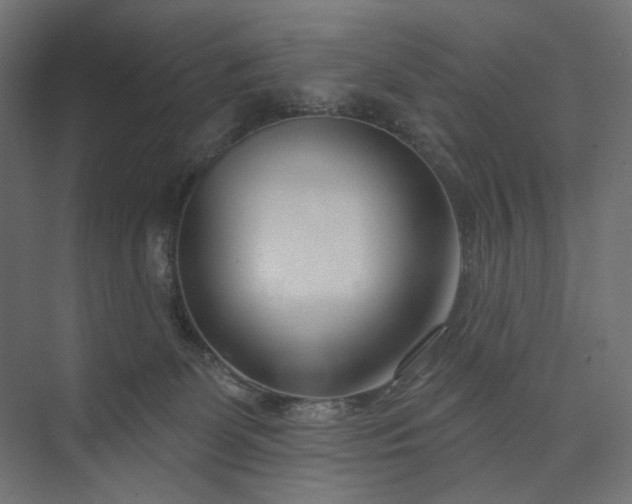 X0000073910131200608251533