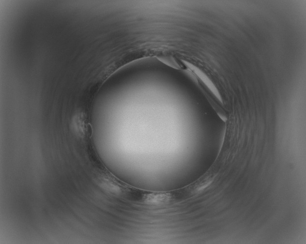 X0000073910135200608251533