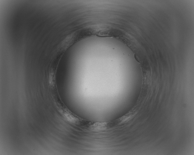 X0000073910138200608251533