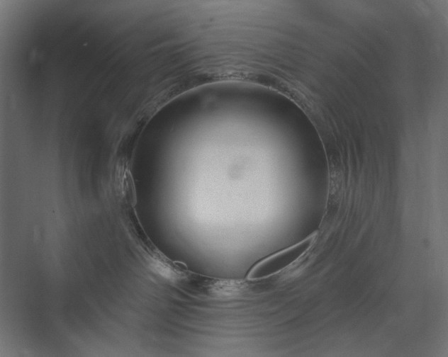 X0000073910142200608251533