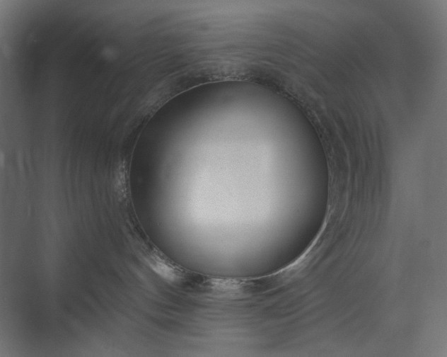 X0000073910144200608251533