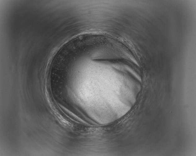 X0000073910145200608251532