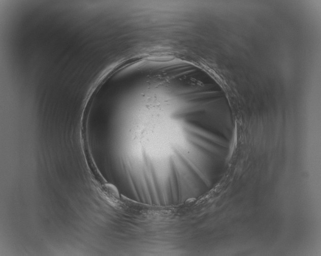 X0000073910147200608251532