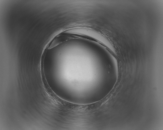 X0000073910148200608251532