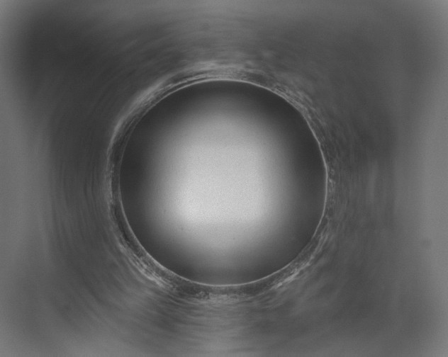 X0000073910149200608251532