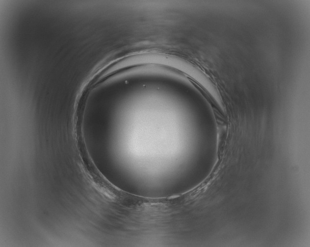 X0000073910150200608251532