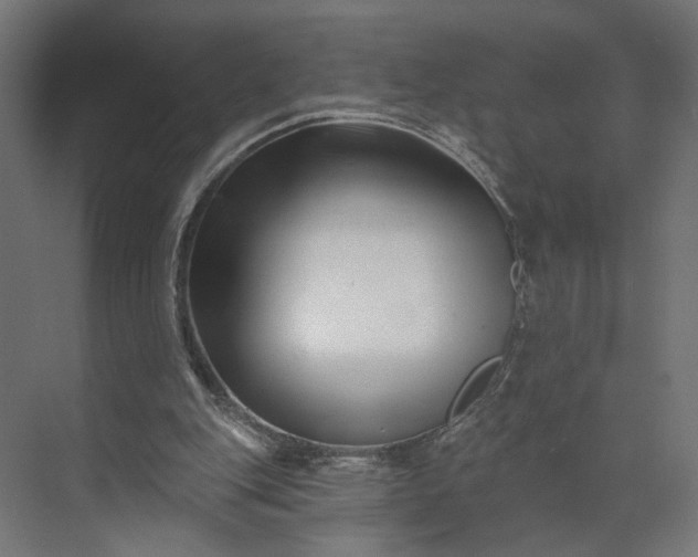 X0000073910151200608251532