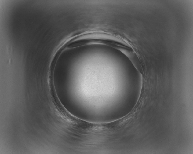 X0000073910152200608251532