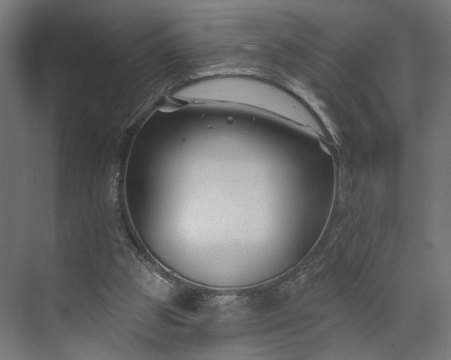 X0000073910153200608251532