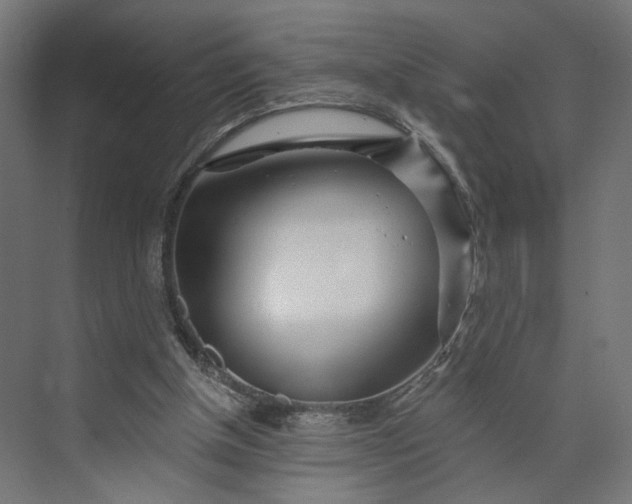 X0000073910154200608251532