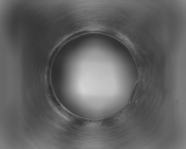 X0000073910155200608251532