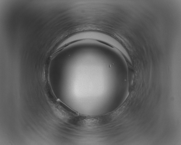 X0000073910158200608251532