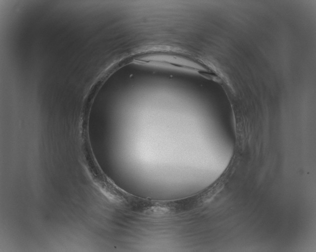 X0000073910159200608251532
