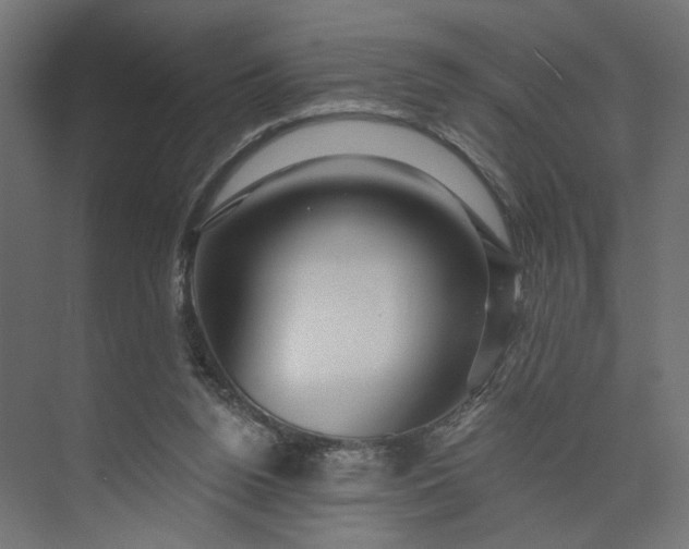 X0000073910160200608251532
