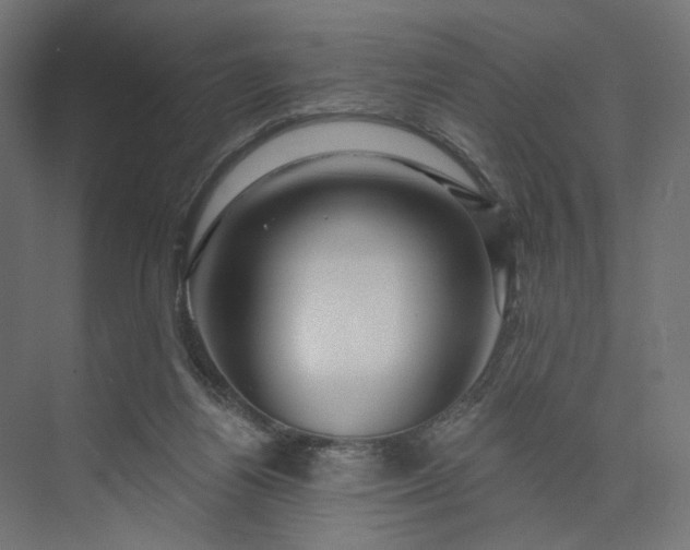 X0000073910164200608251532
