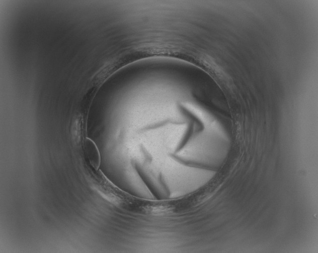 X0000073910165200608251532