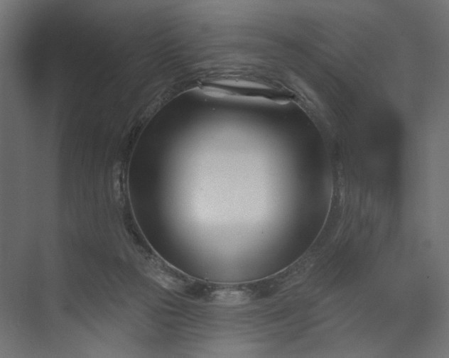 X0000073910169200608251533