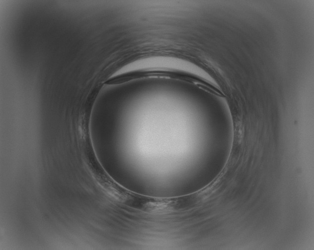 X0000073910170200608251533