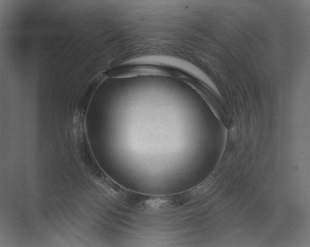 X0000073910172200608251533