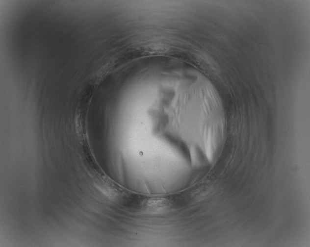 X0000073910173200608251533