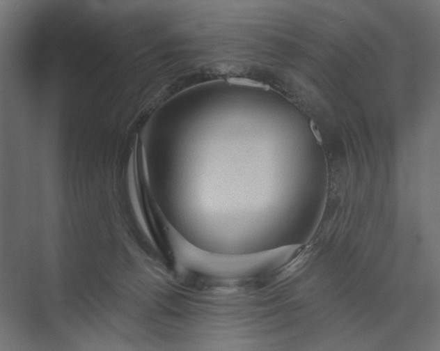 X0000073910176200608251533