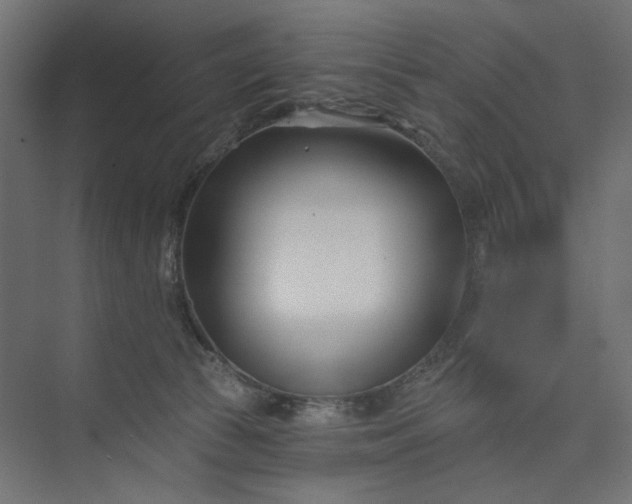 X0000073910177200608251533