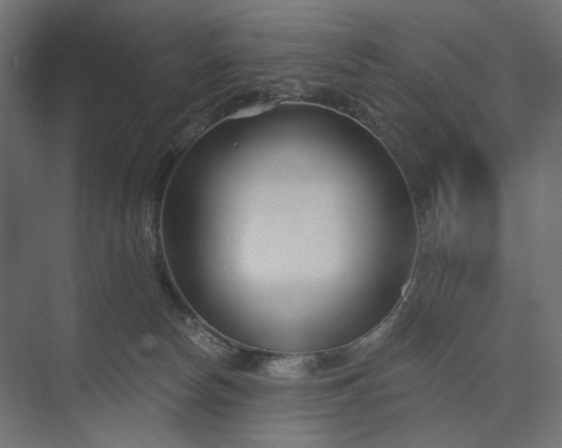 X0000073910178200608251533