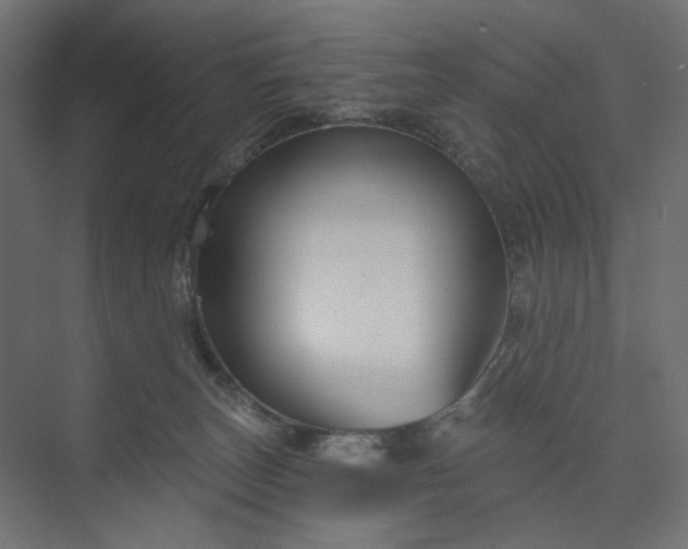 X0000073910179200608251533