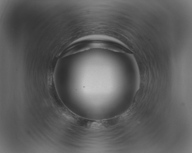 X0000073910180200608251533