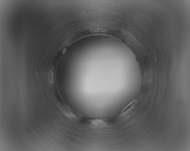 X0000073910183200608251533