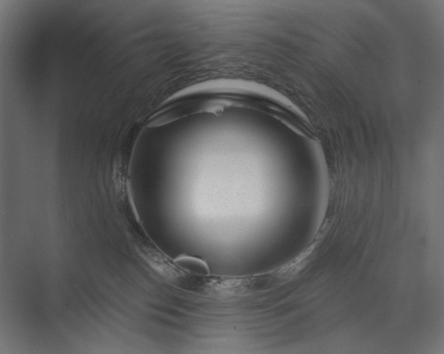 X0000073910186200608251533