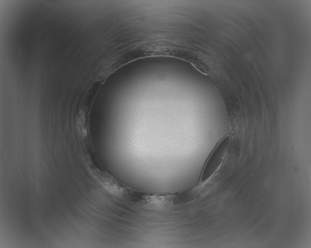 X0000073910187200608251533